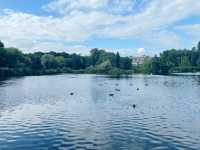 Birmingham in Bloom: From The Vale Lake to the Library Secret Garden