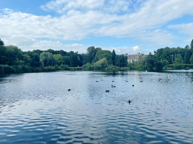 Birmingham in Bloom: From The Vale Lake to the Library Secret Garden