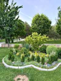Spring Vibes at Amir Temur Square, Tashkent