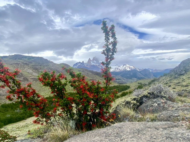 The Quiet Trails of El Chaltén