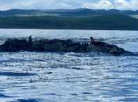 Nature + Nostalgia – Ushuaia