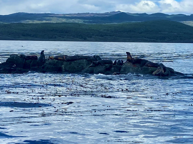 Nature + Nostalgia – Ushuaia