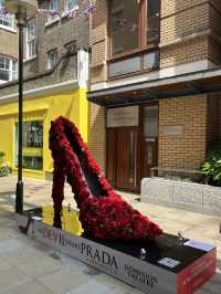 London | Must visit Chelsea Flower Show