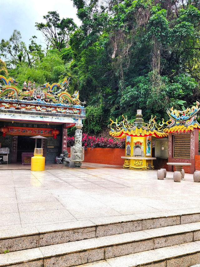 走讀姜子寮聚落及森林療癒步道～絕壁步道