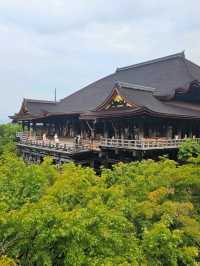 Walking Through the Green Side of Kiyomizu-dera