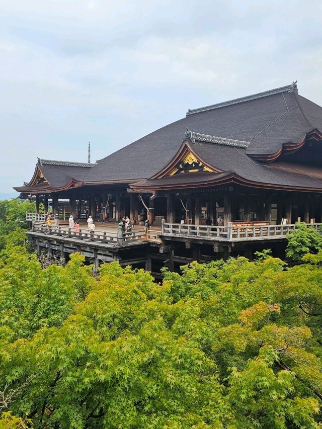 Walking Through the Green Side of Kiyomizu-dera