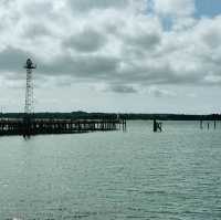 From City Streets to Sea Breezes: London to Southampton by Train