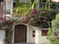 Puerto de la Cruz, Tenerife’s first holiday resort! 