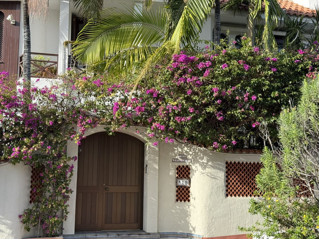 Puerto de la Cruz, Tenerife’s first holiday resort! 