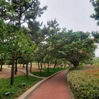 Qingdao, a friendly old city center 