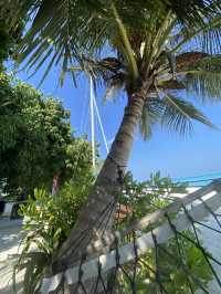 Maldives: The Ultimate Paradise for Diving Wrecks and Coral Reefs
