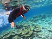 Scuba Diving in the Maldives: Why It’s the Perfect Destination and How to Plan Your Trip