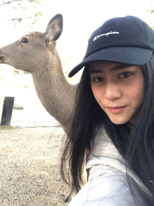 Nara Park in Winter 🦌❄️☃️