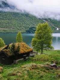 ⚔️✨“Living Like a Viking: My Time-Travel Adventure in Njardarheimr”✨🔥🏕