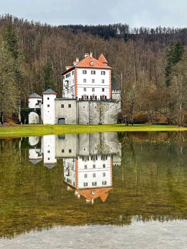 🏰✨“Timeless Elegance: My Enchanting Visit to Snežnik Castle”✨🌲