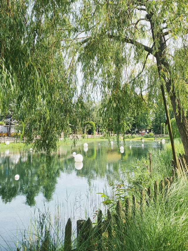 🤠 “คาวบอยเดย์ดรีม: Silver Lake City”