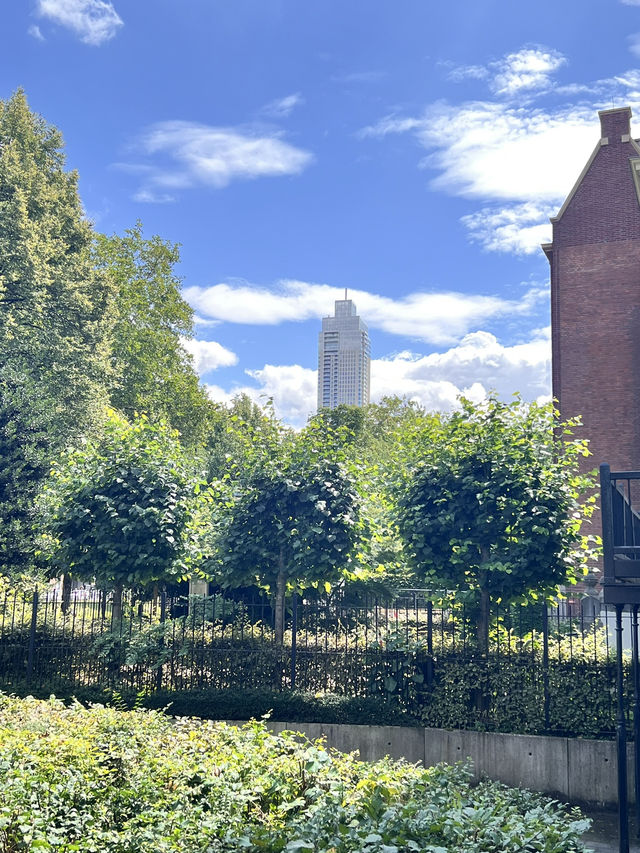Exploring Museumpark Rotterdam: A Cultural Oasis in the Heart of the City