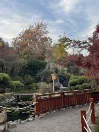 🌸 Serenity in the Sky: The Japanese Garden on Cerro San Cristóbal 🗻🌿