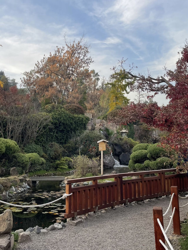 🌸 Serenity in the Sky: The Japanese Garden on Cerro San Cristóbal 🗻🌿 🌸 Serenity in the Sky: The Japanese Garden on Cerro San Cristóbal 🗻🌿