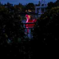 🌙Huiyuan Garden by Night: A Quiet Stroll Through Anhui Miniatures & Lantern Glow