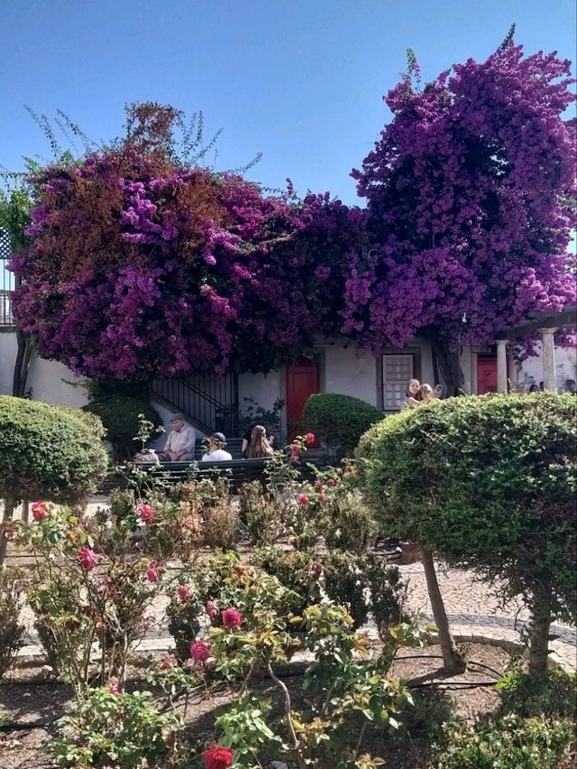 Lisbon is fantastic! 🤩