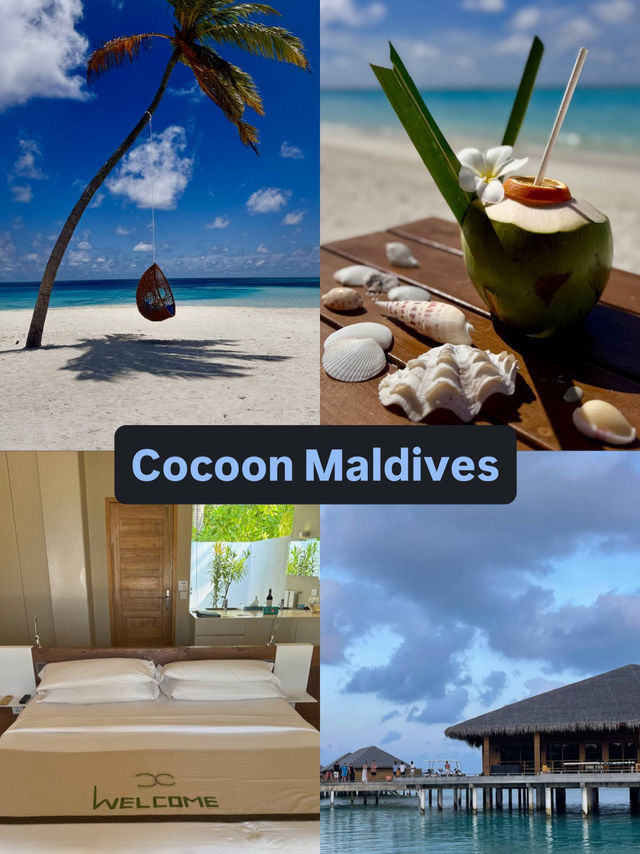 Cocoon Maldives — Where Luxury Meets the Art of Doing Nothing