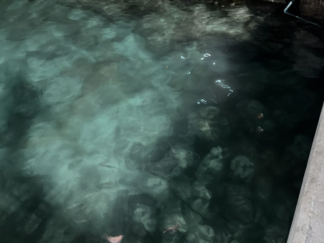 Mathiveri trip 🏝️ Mathiveri trip 🏝️