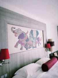 Ферма слонов, где запрещено кататься на них 🐘