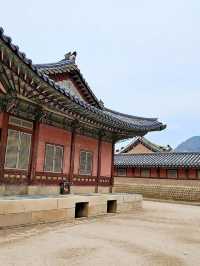 Seoul in Autumn: A Kaleidoscope of Colors 🇰🇷  