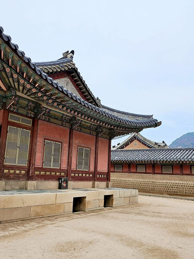 Seoul in Autumn: A Kaleidoscope of Colors 🇰🇷  