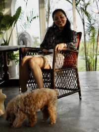 🇻🇳🌾 MISS HOI AN CAFE — секретный спот на рисовых полях