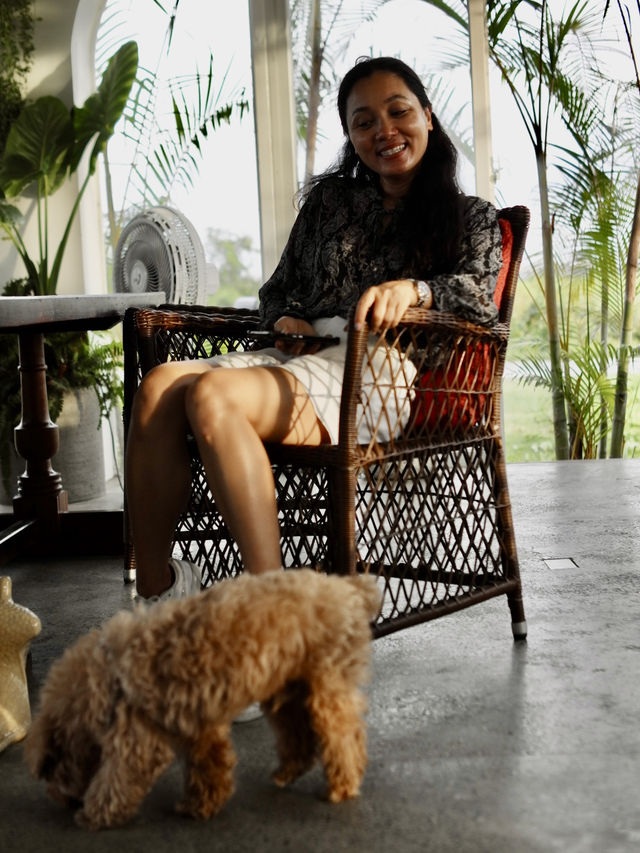 🇻🇳🌾 MISS HOI AN CAFE — секретный спот на рисовых полях 🇻🇳🌾 MISS HOI AN CAFE — секретный спот на рисовых полях