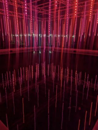 ค่ำคืนคริสต์มาสที่ The Alnwick Garden ให้ความรู้สึกสงบและหรูหรา 🎄✨🌲