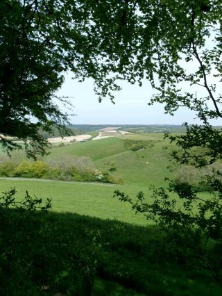 The south downs way