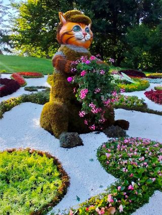 Floral Cat Wonderland at Spivoche Pole: "Purring Ukraine" Blooms in Kyiv 🌸🐾