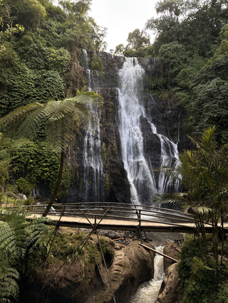 One of Bali's most beautiful waterfalls for 25,000 IDR