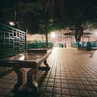 Nightwalk @ Banyan Tree Head 