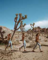 Sedona Unveiled: A Journey into Arizona's Red Rock Splendor