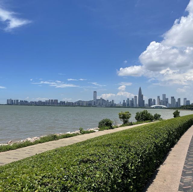 The best way to see the Shenzhen Skyline 