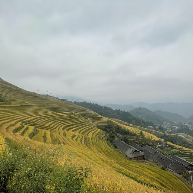 在大寨梯田山腰的龍脊印象酒店
