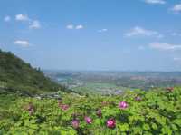 湖南小眾拍照景點“空中花園”
