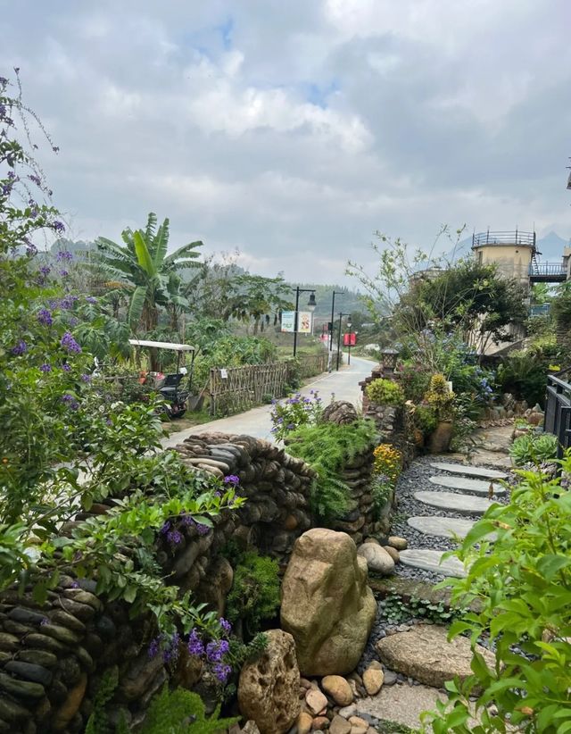 從化一個超級養心養神的小山村