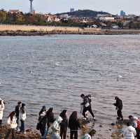 廣州直飛🛫很方便『青島•棧橋』