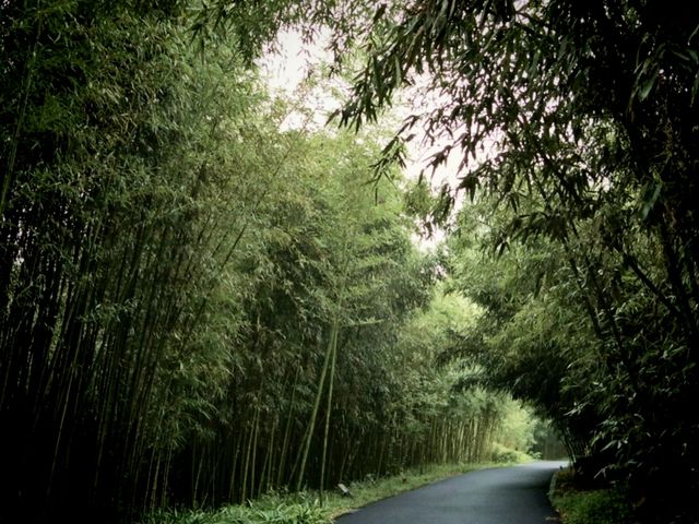 週末帶娃的好去處