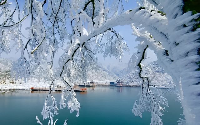 永州雙牌陽明山｜霧淞美如仙境，雲霧繚繞間散發出神秘而寧靜