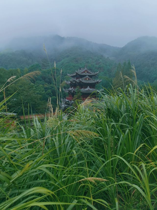 天台三日深度遊，何止最美寺，山上更有靈