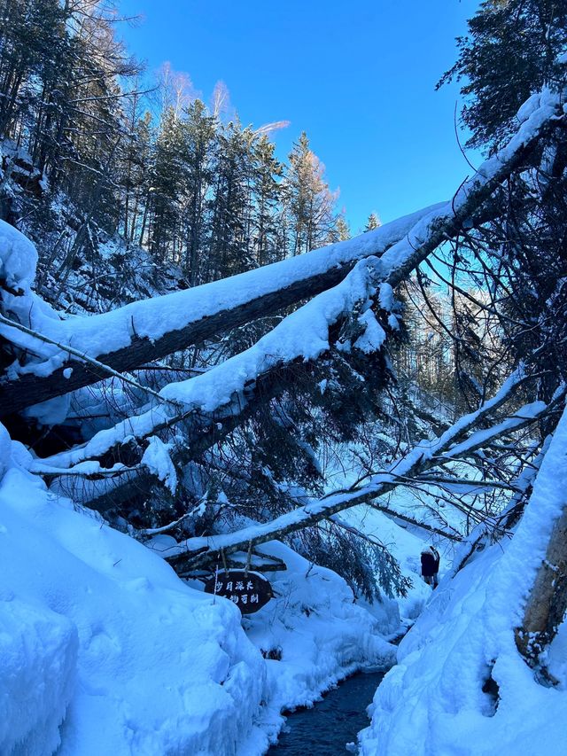 長白山雪谷穿越冰泉煮茶+保姆級攻略分享給大家！