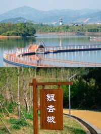 福州周邊遊｜翠屏湖環湖棧道