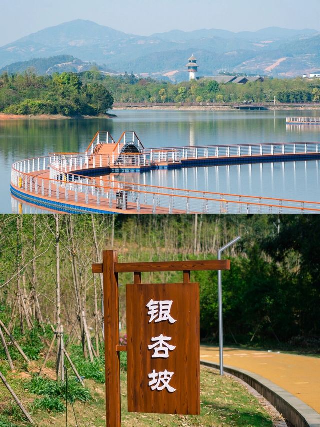 福州周邊遊｜翠屏湖環湖棧道