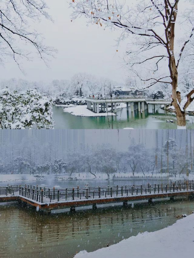 西安的這場雪下進了我的心坎裡